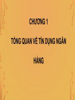 Slide bài giảng tín dụng ngân hàng 1