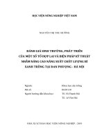 (LUẬN văn THẠC sĩ) đánh giá sinh trưởng, phát triển của một số tổ hợp lai và biện pháp kỹ thuật nhằm nâng cao năng suất chất lượng bí xanh trồng tại đan phượng hà nội 