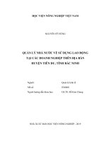 (LUẬN văn THẠC sĩ) quản lý nhà nước về sử dụng lao động tại các doanh nghiệp trên địa bàn huyện tiên du, tỉnh bắc ninh 