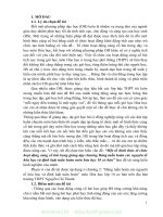 (SKKN mới NHẤT) SKKN một số hình thức tổ chức hoạt động củng cố bài trong giảng dạy chương bảng tuần hoàn các nguyên tố hóa học và định luật tuần hoàn môn hóa học 10 cơ bản 