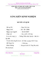 (SKKN mới NHẤT) SKKN phát huy vai trò tích cực của tổ chức đội trong công tác phòng tránh tai nạn thương tích cho học sinh trường tiểu học cổ đô 