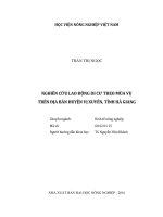 (LUẬN văn THẠC sĩ) nghiên cứu lao động di cư theo mùa vụ trên địa bàn huyện vị xuyên, tỉnh hà giang 
