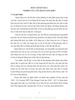 (SKKN mới NHẤT) SKKN một số hình thức tổ chức dạy học ngoại khoá lịch sử địa phương 