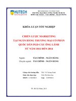(LUẬN văn THẠC sĩ) chiến lược marketing tại ngân hàng thương mại cổ phần quốc dân pgd cầu ông lãnh từ năm 2012 đến 2014​ 