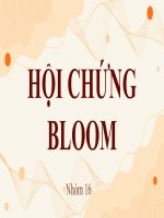 slide thuyết trình hội CHỨNG BLOOM 