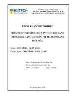 (LUẬN văn THẠC sĩ) phân tích tình hình cho vay thế chấp dành cho khách hàng cá nhân tại techcombank biên hòa​ 