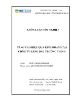 (LUẬN văn THẠC sĩ) nâng cao hiệu quả kinh doanh tại công ty xăng dầu trường thịnh​ 