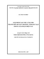 (LUẬN văn THẠC sĩ) giải pháp tạo việc làm cho thanh niên huyện chợ đồn, tỉnh bắc kạn trong giai đoạn hiện nay 