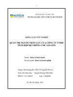 (LUẬN văn THẠC sĩ) quản trị nguồn nhân lực của công ty TNHH tích hợp hệ thống CMC sài gòn​ 