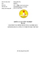 247 giải pháp tài chính nhằm nâng cao hiệu quả kinh doanh của công ty TNHH tin học trí việt