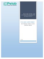 TÀI LIỆU GIỚI THIỆU HỆ THỐNG CHIẾU SÁNG THÔNG MINH PELAB