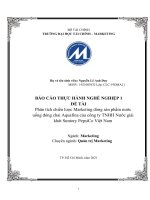 Phân tích chiến lược marketing dòng sản phẩm nước uống đóng chai aquafina 