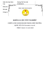 079 chiến lược kinh doanh trong môi trường quốc tế của vinamilk tại mỹ   thực trạng và giải pháp,khoá luận tốt nghiệp