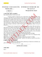 de-thi-hoc-ki-1-ngu-van-lop-12-da-nang-co-dap-an-dtvj2022t2