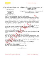 de-thi-giua-ki-1-ngu-van-lop-7-ho-chi-minh-co-dap-an-dtvj2021t1