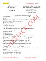 de-thi-khoa-hoc-tu-nhien-lop-6-hoc-ki-1-canh-dieu-nam-2021