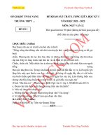 de-thi-giua-ki-1-ngu-van-lop-12-da-nang-co-dap-an-dtvj2021t1