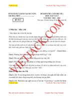 de-thi-hoc-ki-1-ngu-van-lop-7-da-nang-co-dap-an-dtvj2022t2