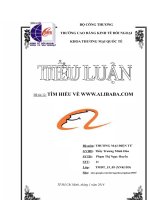 Tiểu luận Thương mại điện tử: Tìm hiểu về www.Alibaba.com