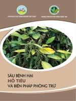 SÂU BỆNH HẠI HỒ TIÊU VÀ BIỆN PHÁP PHÒNG TRỪ. TS. Trần Danh Sửu