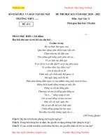 de-thi-hoc-ki-1-ngu-van-lop-11-ha-noi-co-dap-an-dtvj2022t2