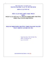 TIỂU LUẬN PHÁP LUẬT dân sự và TRÁCH NHIỆM bồi THƯỜNG THIỆT hại NGOÀI hợp ĐỒNG TRÁCH NHIỆM bồi THƯỜNG THIỆT hại DO NGUỒN NGUY HIỂM CAO độ gây RA 