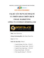 tiểu luận xây DỰNG kế HOẠCH và TRIỂN KHAI CHIẾN DỊCH EMAIL MARKETING CÔNG TY cổ PHẦN SPORTSLAND 