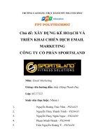 tiểu luận xây DỰNG kế HOẠCH và TRIỂN KHAI CHIẾN DỊCH EMAIL MARKETING CÔNG TY cổ PHẦN SPORTSLAND 