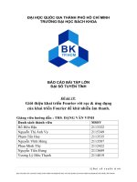 BÁO cáo bài tập lớn đại số TUYẾN TÍNH giới thiệu khai triển fourier rời rạc  ứng dụng của khai triển fourier để khử nhiễu âm thanh  