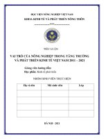 TIỂU LUẬN KINH tế PHÁT TRIỂN