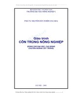 Giáo trình: CÔN TRÙNG NÔNG NGHIỆP  (DÙNG CHO ĐẠI HỌC, CAO ĐẲNG CHUYÊN NGÀNH CÂY TRỒNG)
