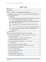 Chiến lược marketing mix sản phẩm bao cao su của durex 