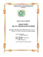 Tìm hiểu hệ thống quản lý của công ty nước giải khát coca cola 