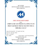 Chiến lược sản phẩm của công ty cổ phần tập đoàn trung nguyên với cà phê hòa tan g7 