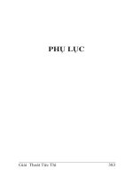 gttt-v8-phu-luc-dao-thi-