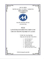 Lập kế hoạch marketing chiến lược cho sàn thương mại điện tử lazada 