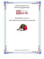 TIỂU LUẬN THẨM ĐỊNH DỰ ÁN ĐẦU TƯ CÔNG TY TNHH XÂY DỰNG VÀ THƯƠNG MẠI LONG NHỰT PHÁT