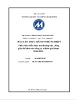 Phân tích chiến lược marketing mix dòng giày thể thao của công ty adidas giai đoạn 2018 2021 