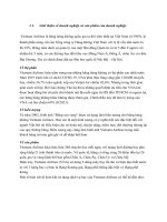 CRM   chiến lược CRM của vietnam airlines 