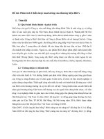 Phân tích chiến lược marketing của thương hiệu biti’s 