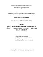 Hoạch định chiến lược phát triển công ty tnhh thương mại dịch vụ tân hiệp phát giai đoạn 2022 2027 