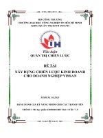 Xây dựng chiến lược kinh doanh cho doanh nghiệp vissan 