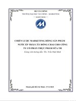 Chiến lược marketing dòng sản phẩm nước ép trái cây đóng chai cho công ty cổ phần thực phẩm sữa TH 