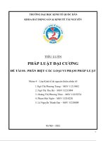 Phân biệt các loại vi phạm pháp luật 