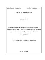 (LUẬN văn THẠC sĩ) đánh giá sinh trưởng bạch đàn eucalyptus urophylia s t  blake trồng thuần loài tại lâm trường cao lộc, làm cơ sở chọn loài cây trồng cho rừng sản xuất tỉnh lạng sơn​ 