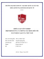 Hiệp định EVFTA và những tác động đối với xuất khẩu gạo việt nam 