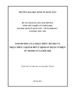 Ảnh hưởng của nhận thứcrủi ro và nhận thức lợi ích tới ý định sử dụng dịch vụ ví điện tử momo của giới trẻ 