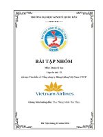 Tìm hiểu về tổng công ty hàng không việt nam CTCP 