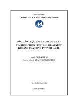 Tìm hiểu chiến lược sản phẩm nước khoáng của công ty TNHH lavie 