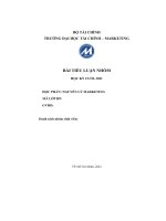 Bài thi tiểu luận nguyên lý marketing 